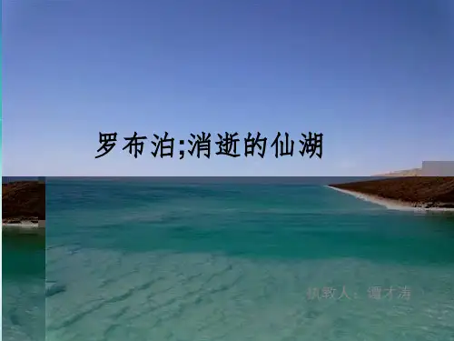 《罗布泊消逝的仙湖》ppt课件