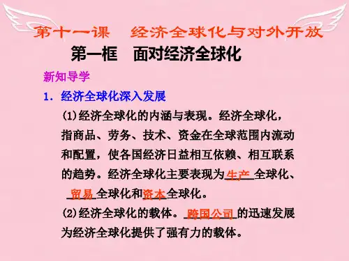 高中政治 第十一课 第一框面对经济全球课件 新人教版必修1