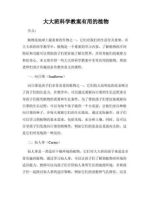 大大班科学教案有用的植物
