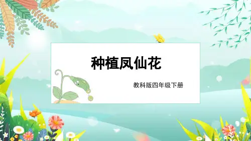 1.2《种植凤仙花》精品课件ppt