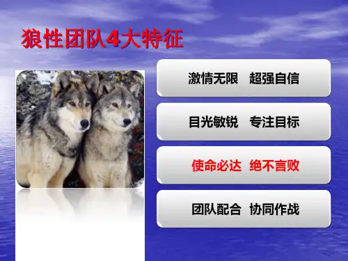 打造狼性行销团队bbgd