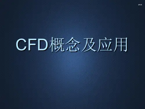 CFD概念及应用  ppt课件