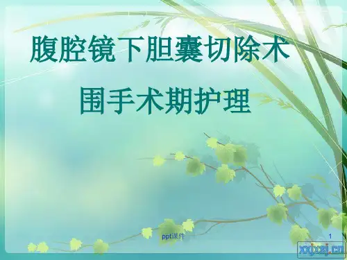腹腔镜胆囊切除术  ppt课件
