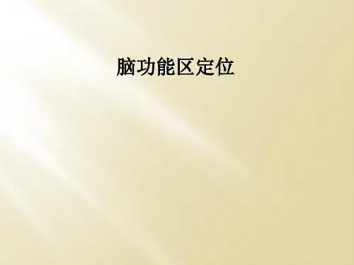 脑功能区定位