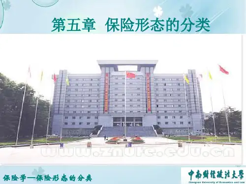 第五保险形态分类