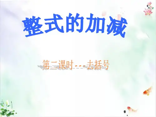 《整式的加减》ppt经典课件