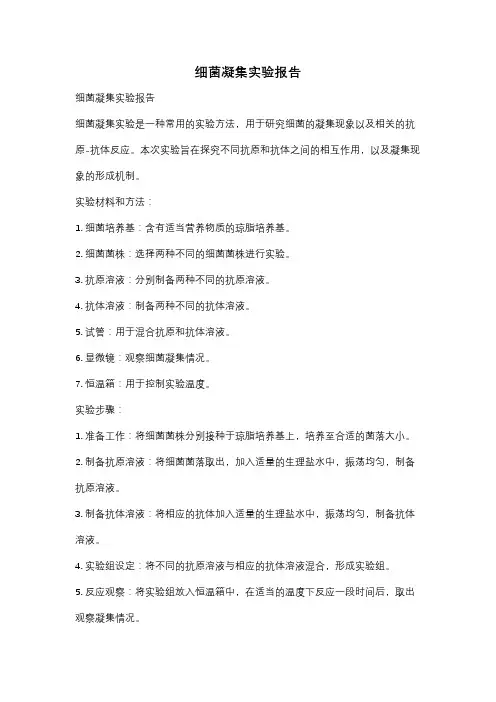 细菌凝集实验报告