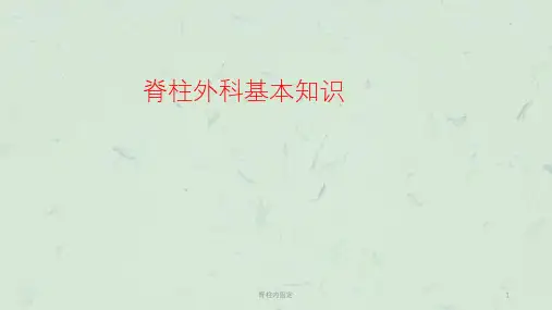 脊柱内固定课件