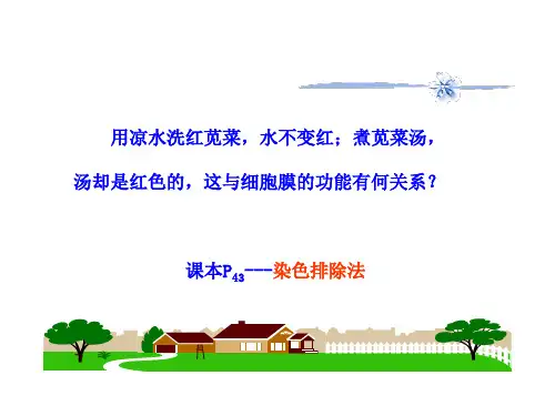 细胞膜的功能