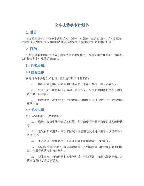 公牛去势手术计划书