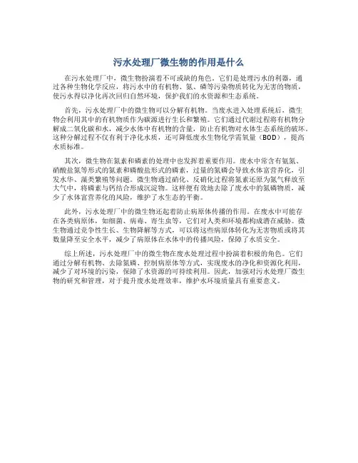 污水处理厂微生物的作用是什么
