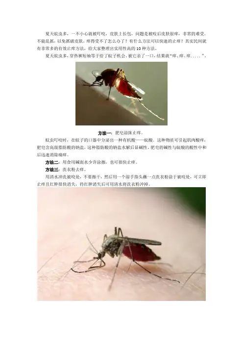蚊虫叮咬的偏方
