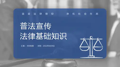 法律法学ppt模板 (3)