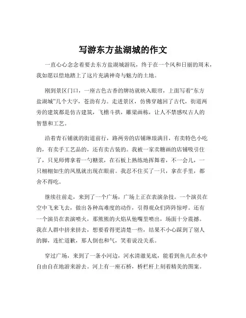 写游东方盐湖城的作文