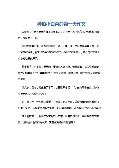 种植小白菜的第一天作文
