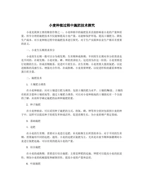 小麦种植过程中施肥技术探究