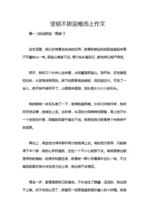 坚韧不拔迎难而上作文