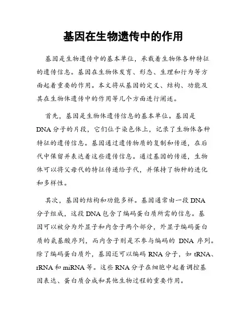 基因在生物遗传中的作用