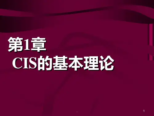 一 CIS的基本理论PPT课件