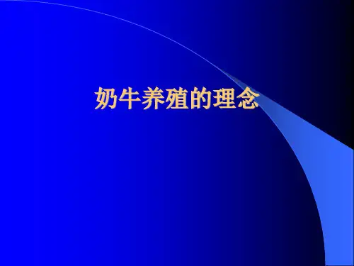 现代化奶牛场奶牛养殖新技术