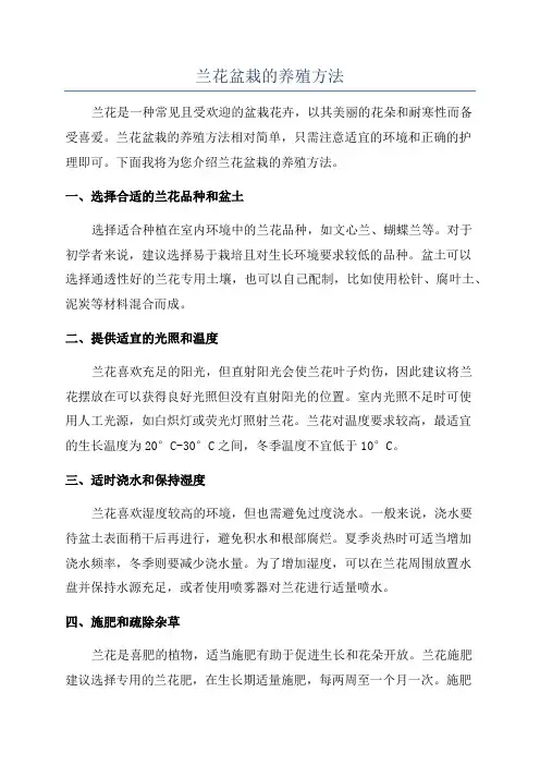 兰花盆栽的养殖方法