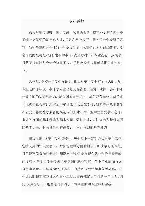 对审计专业的认识