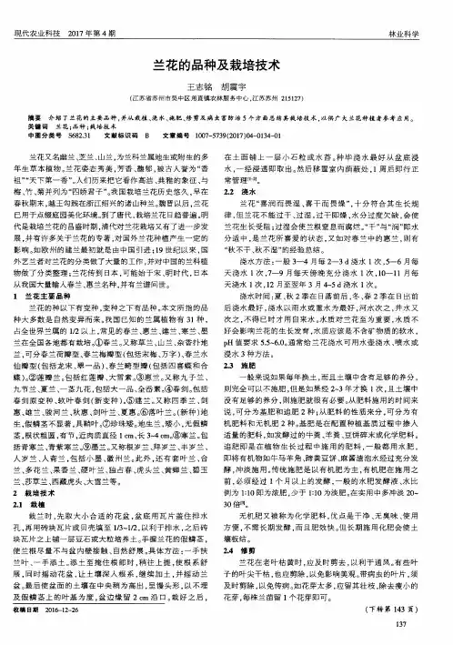 兰花的品种及栽培技术