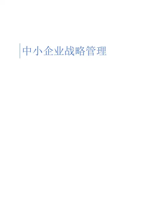 中小企业战略管理(自考教材精华提炼)