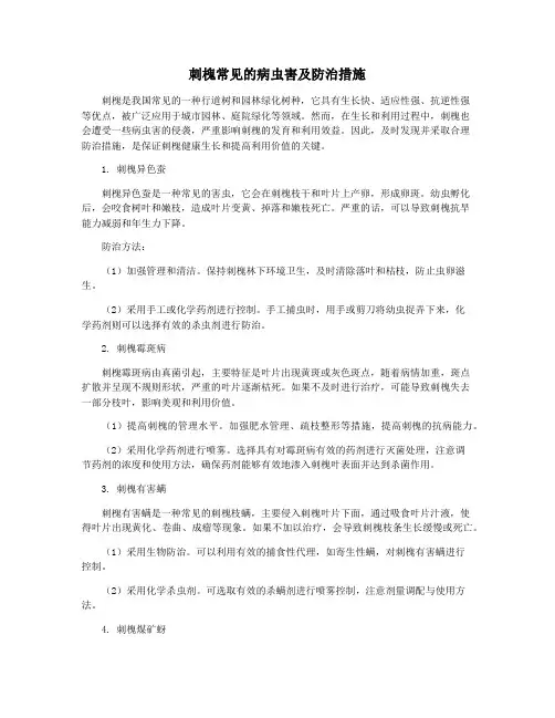 刺槐常见的病虫害及防治措施
