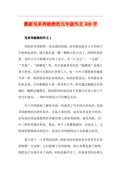 最新写多肉植物的五年级作文500字