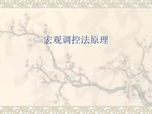 宏观调控法原理