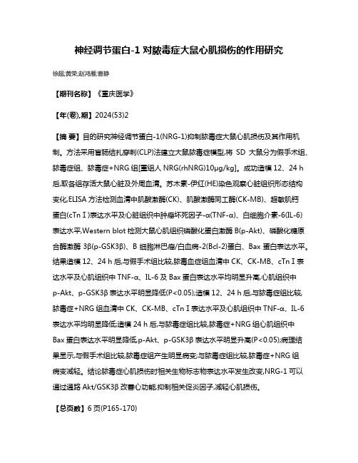 神经调节蛋白-1对脓毒症大鼠心肌损伤的作用研究