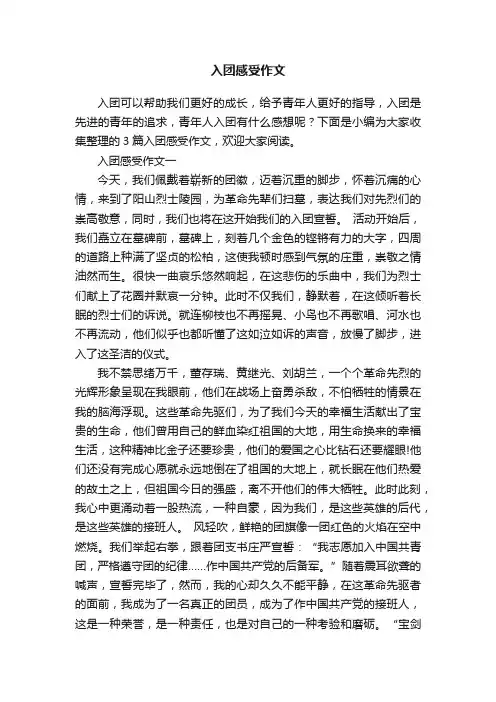 入团感受作文