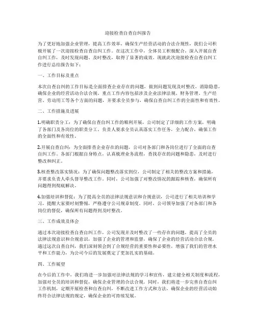迎接检查自查自纠报告