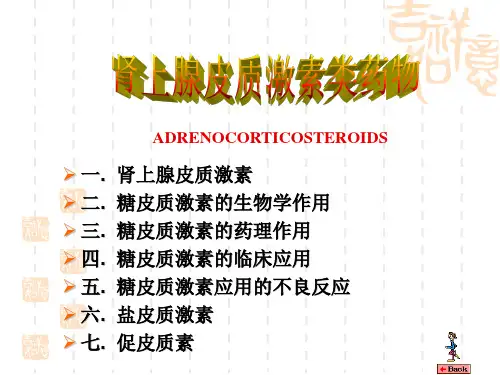 肾上腺皮质激素类药物 PPT课件