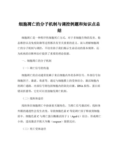 细胞凋亡的分子机制与调控例题和知识点总结