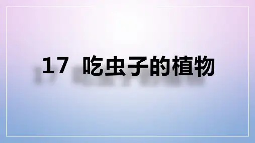 冀美版 二下美术 17 吃虫子的植物 课件