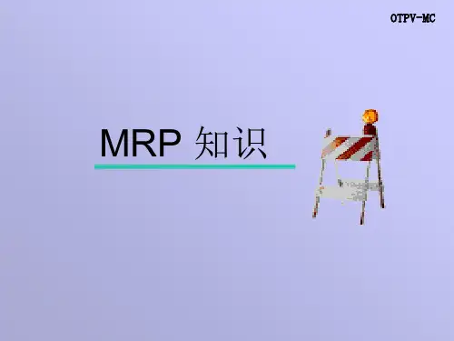 MRP理论与报表