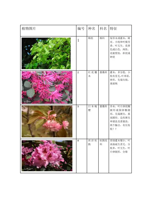 植物学名