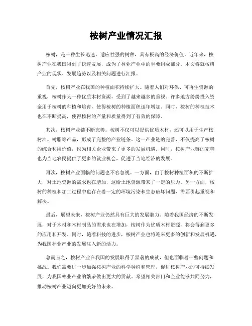 桉树产业情况汇报