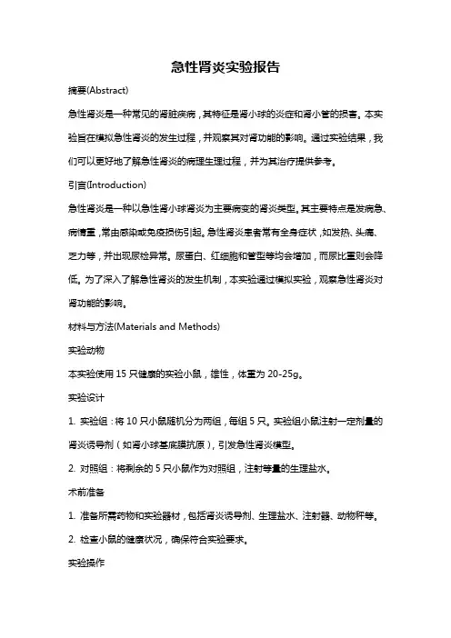 急性肾炎实验报告
