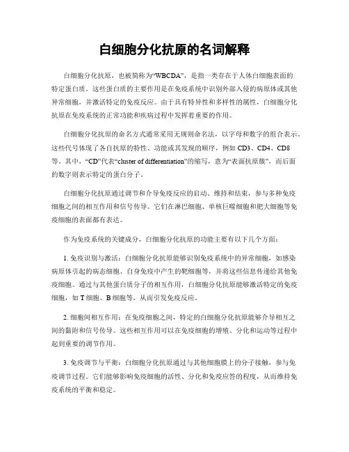 白细胞分化抗原的名词解释