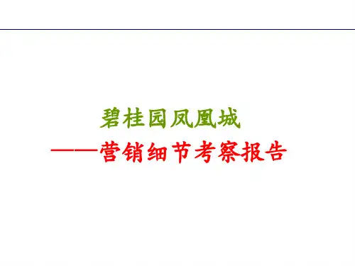 碧桂园凤凰城营销细节考察报告