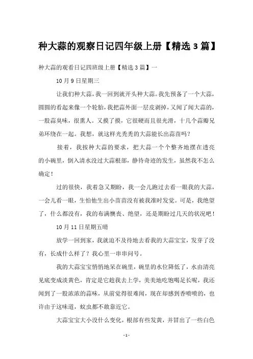 种大蒜的观察日记四年级上册【3篇】