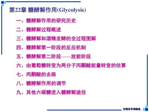 生物化学下-第22章 糖酵解作用