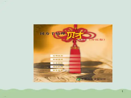 中国人寿保险公司商品介绍(ppt 19页)