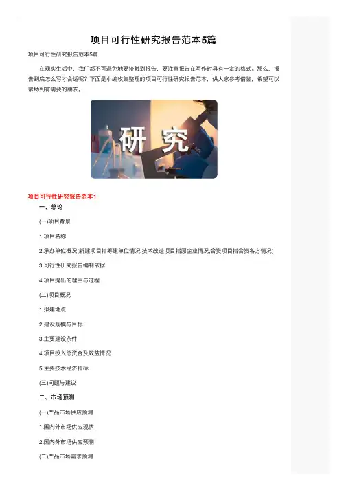 项目可行性研究报告范本5篇