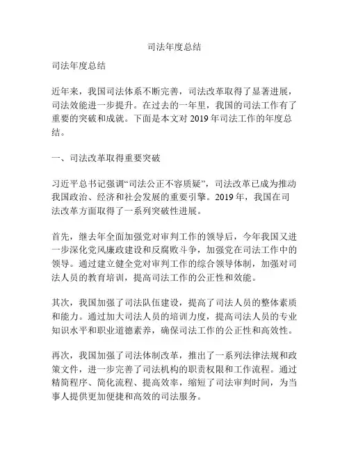 司法年度总结
