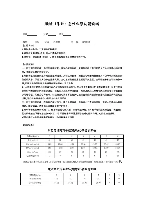 蟾蜍(牛蛙)急性心泵功能衰竭