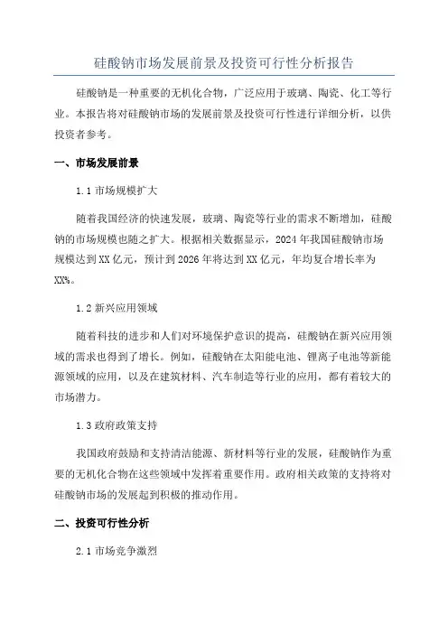 硅酸钠市场发展前景及投资可行性分析报告